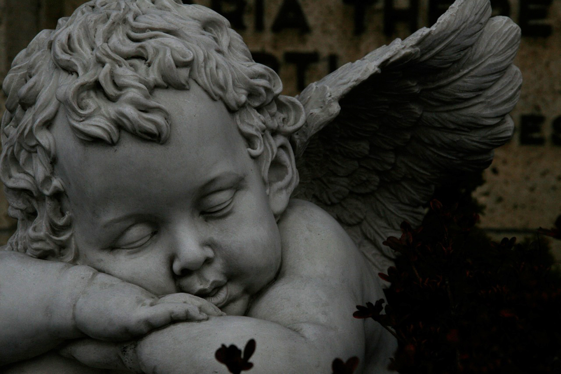 Angel Statues Wallpapers