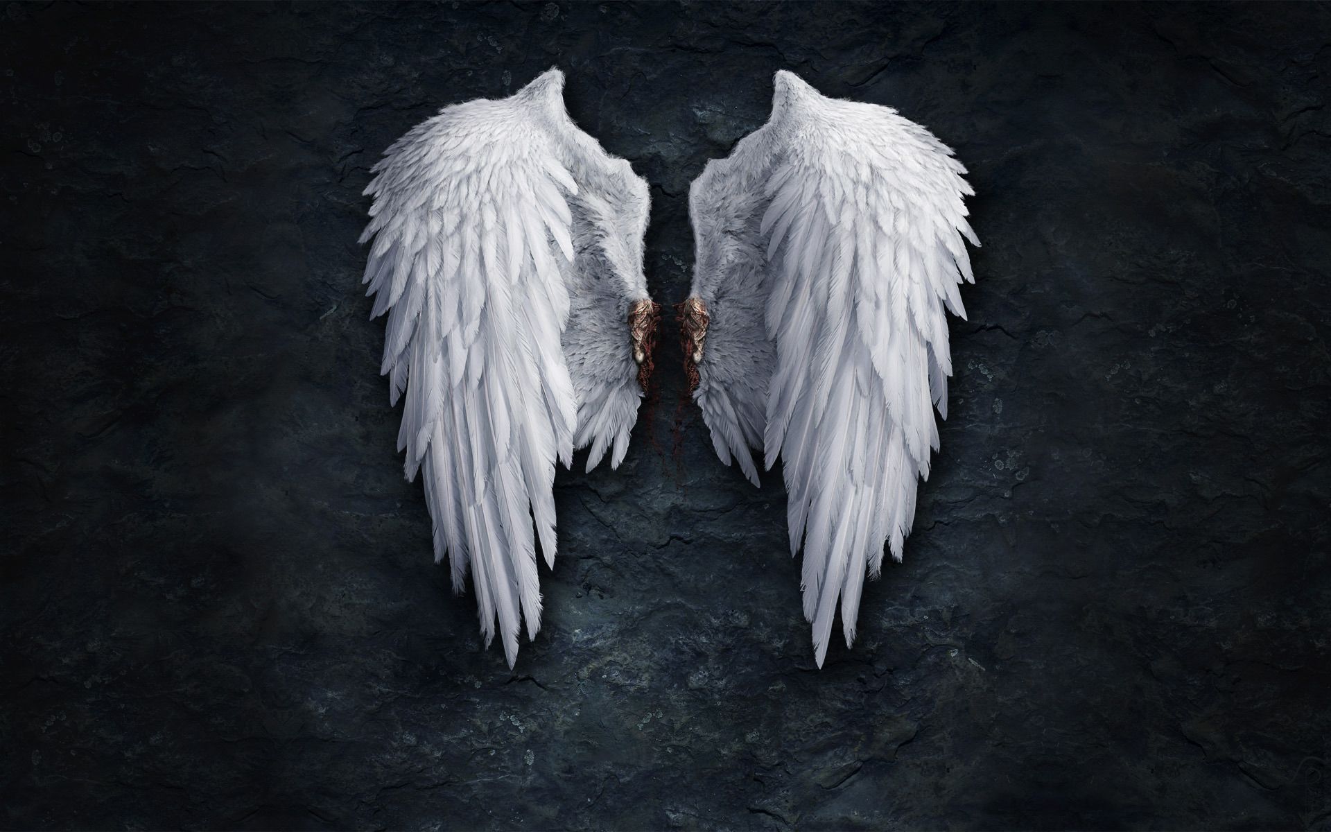 Angel Wing Wallpapers