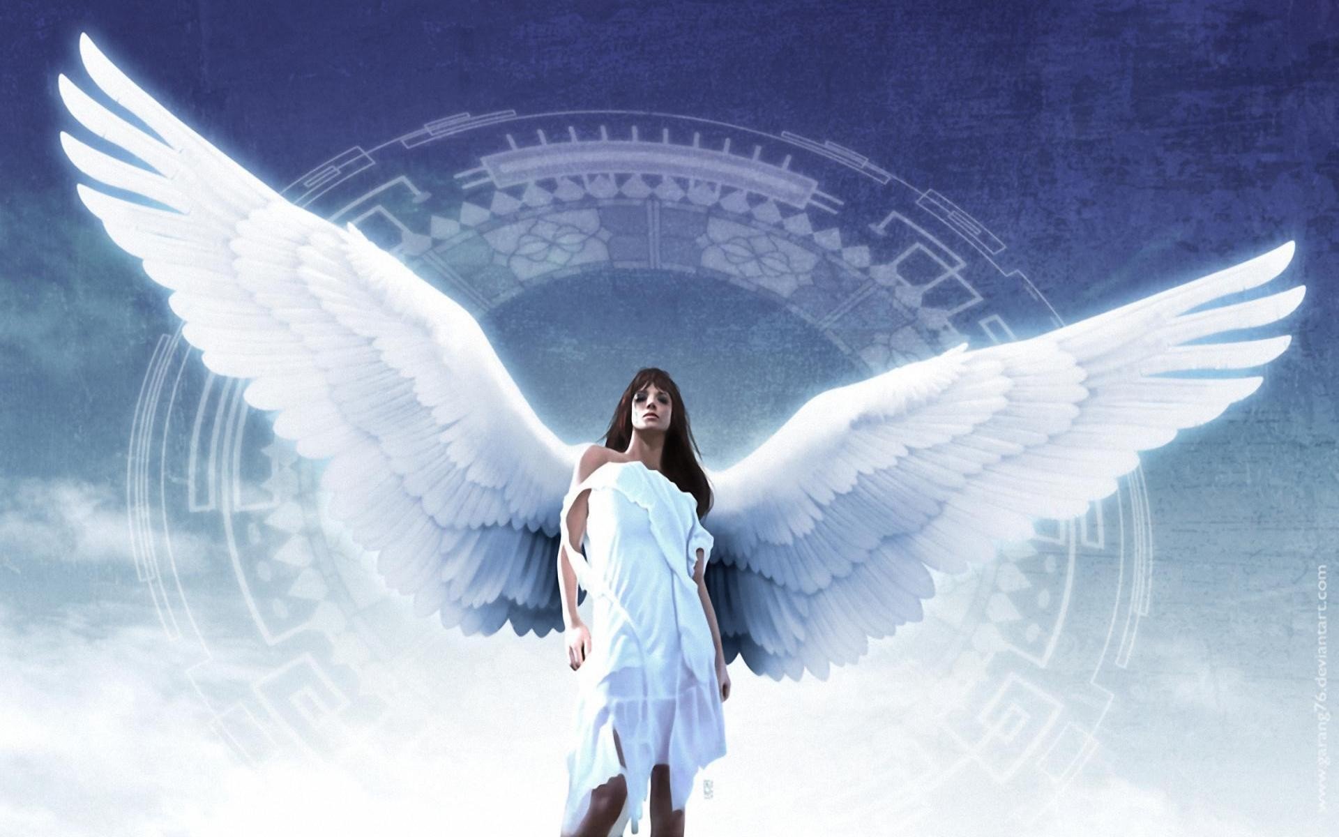 Angel Wing Wallpapers