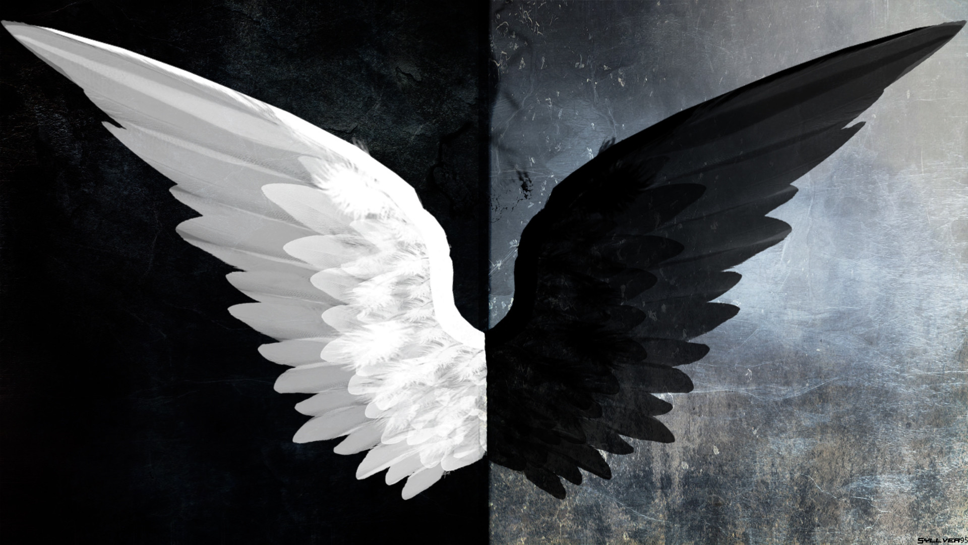 Angel Wing Wallpapers