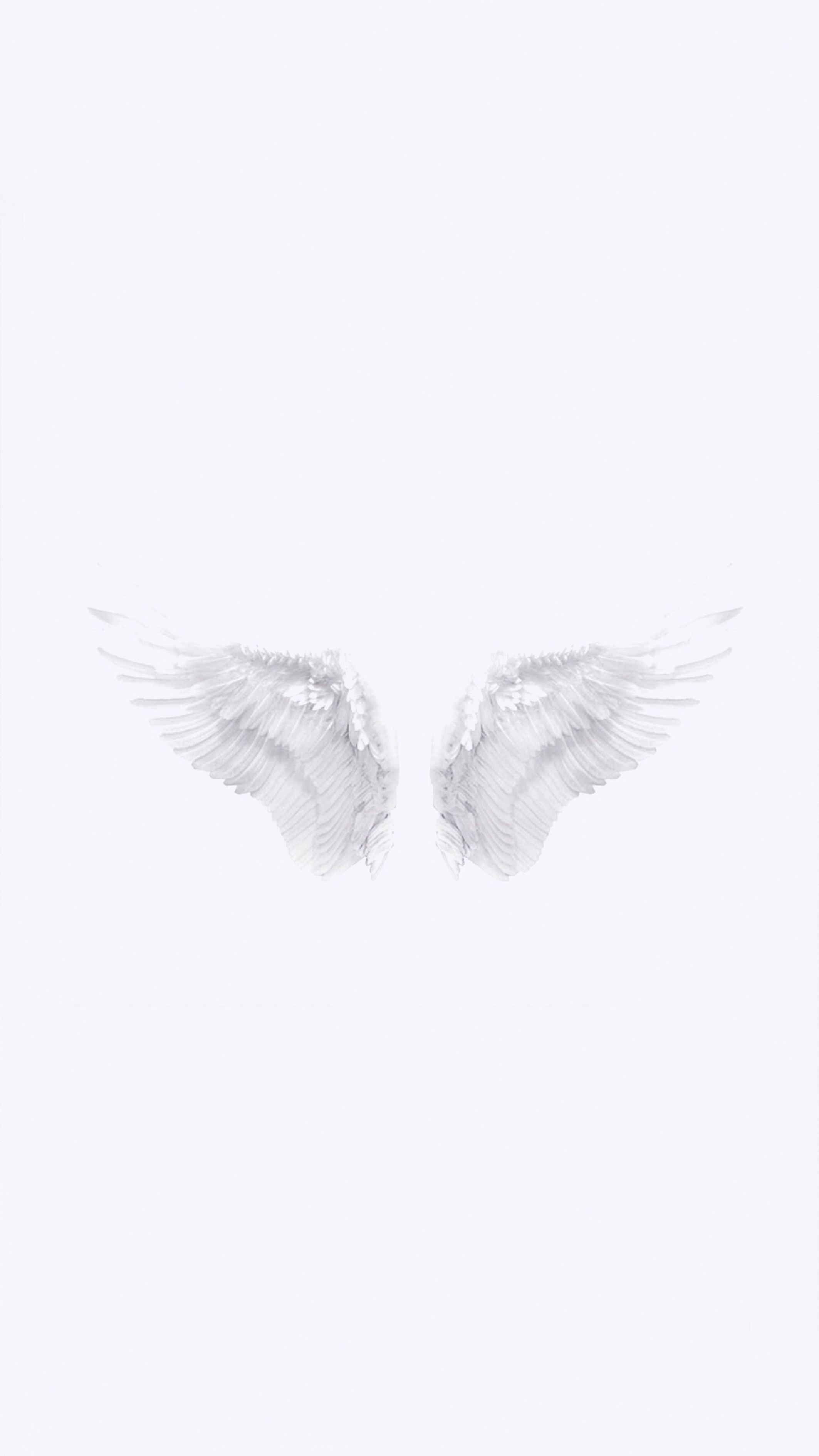 Angel Wing Wallpapers