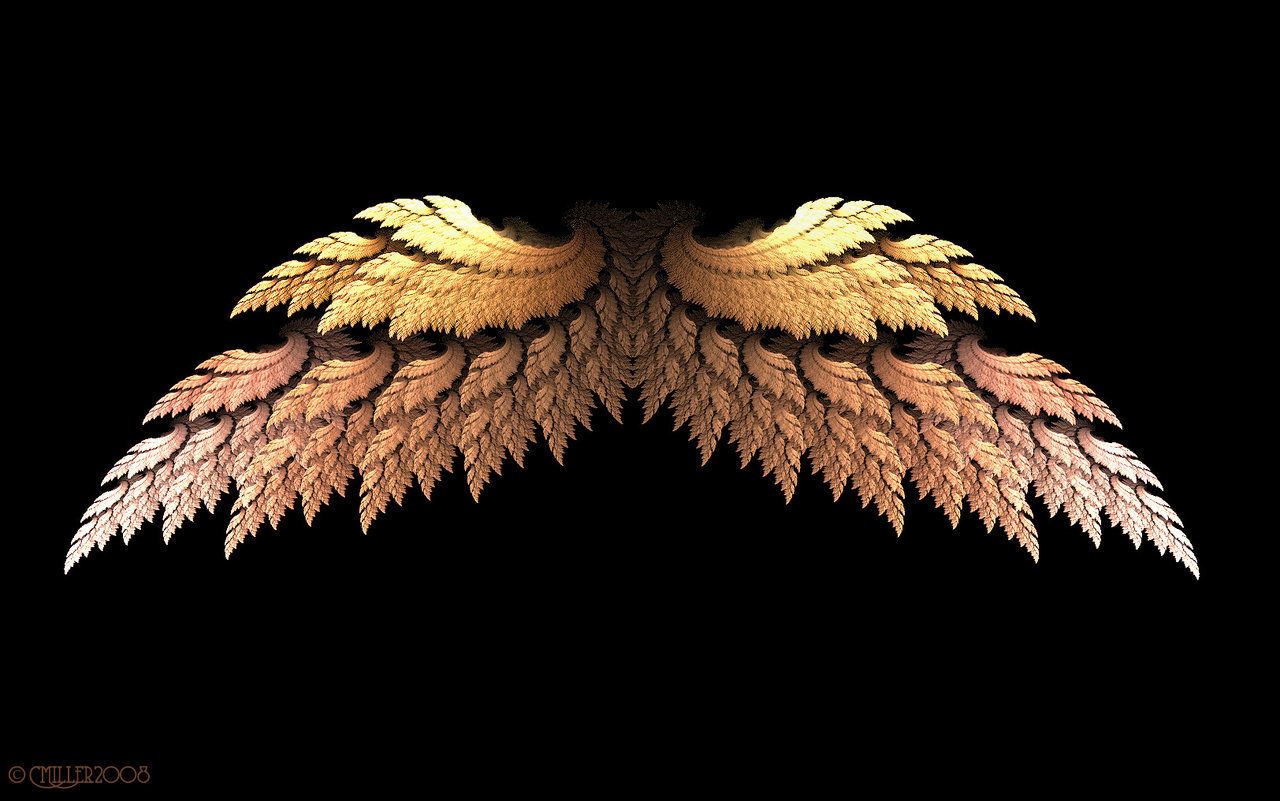 Angel Wing Wallpapers