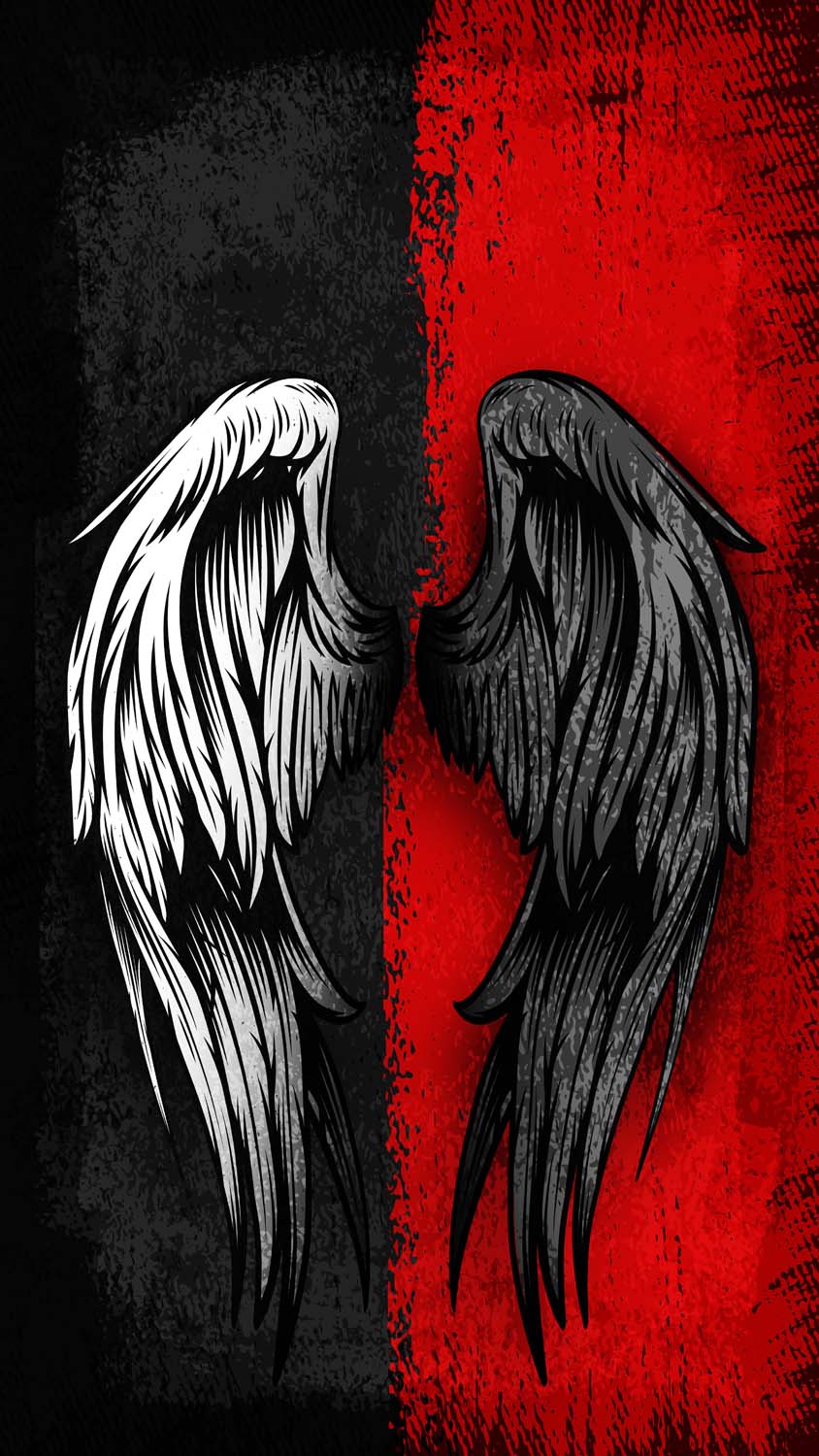 Angel Wing Wallpapers