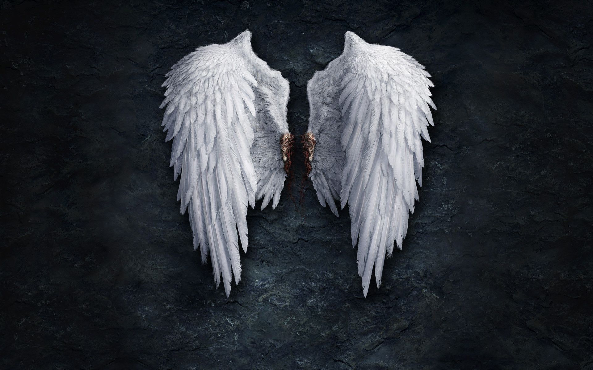 Angel Wings Black Background