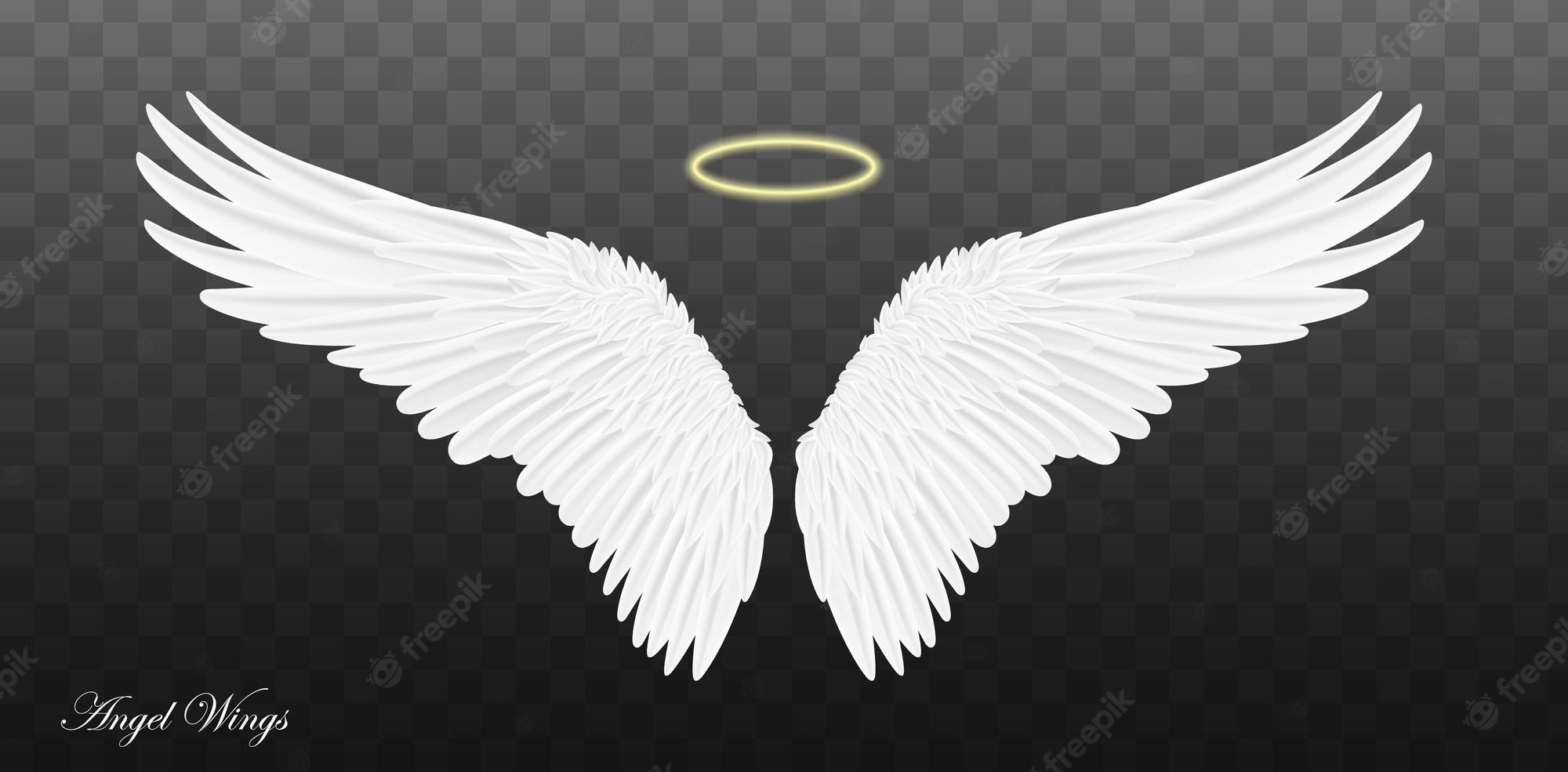 Angel Wings Black Background