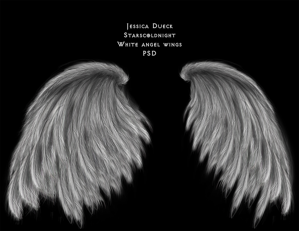 Angel Wings Black Background