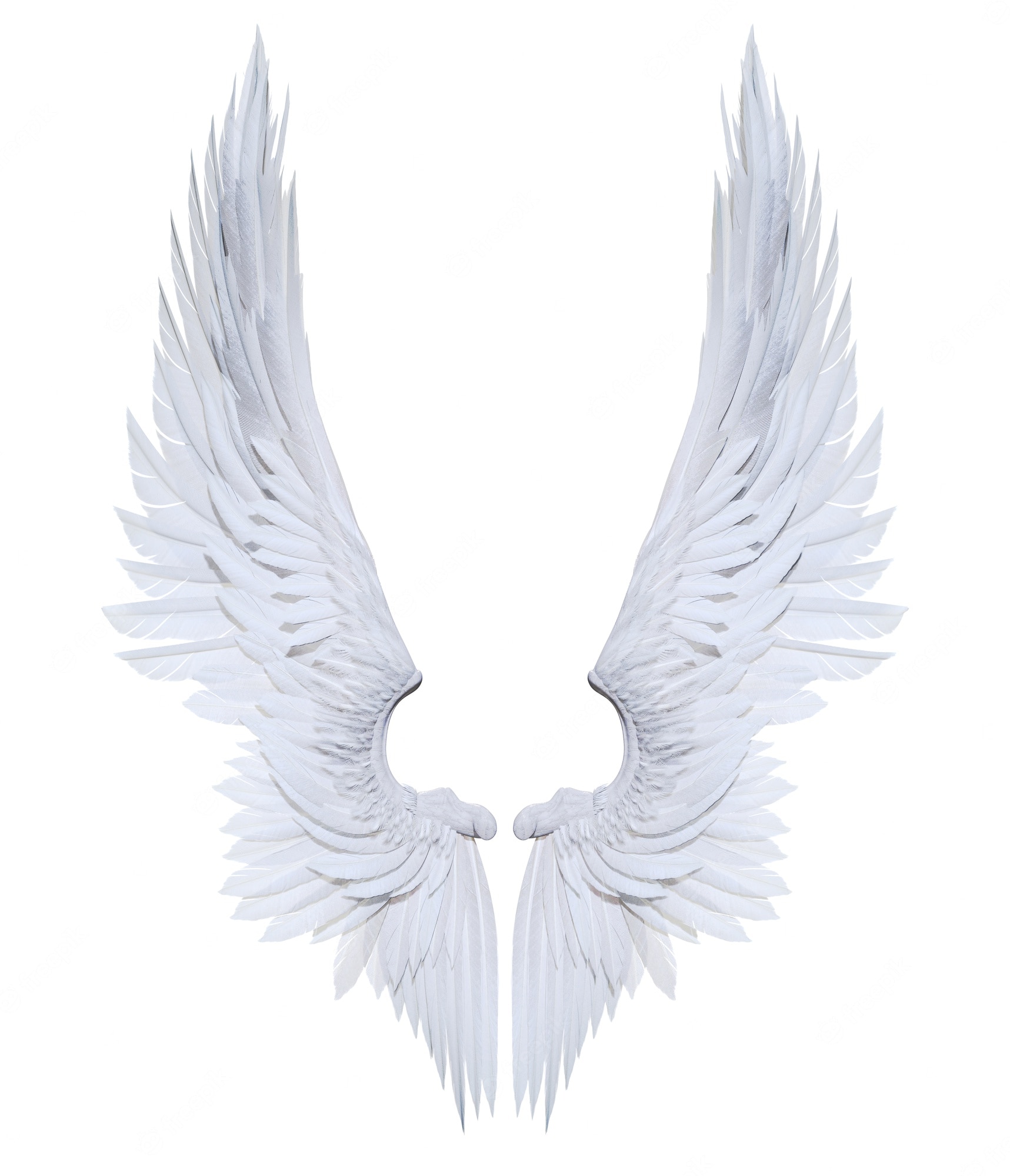 Angel Wings Black Background