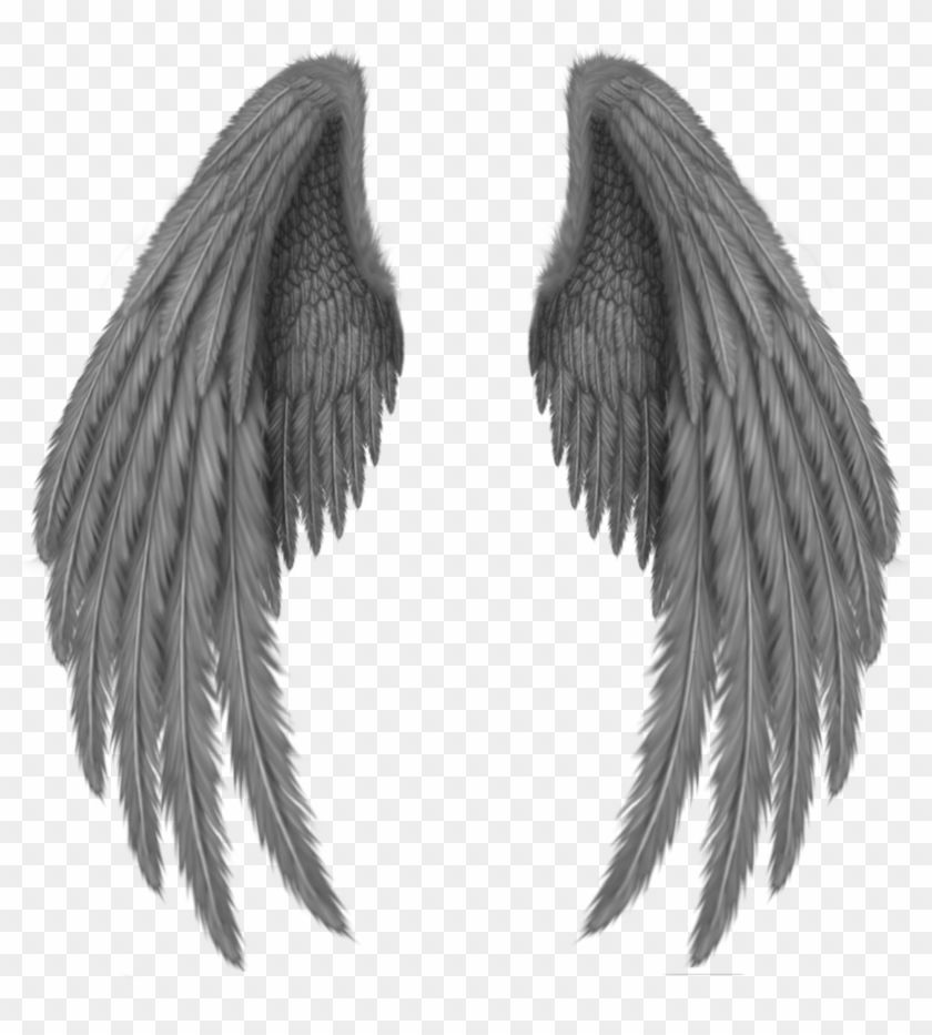 Angel Wings Black Background