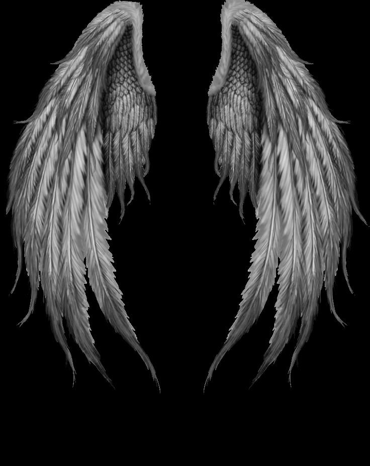 Angel Wings Black Background