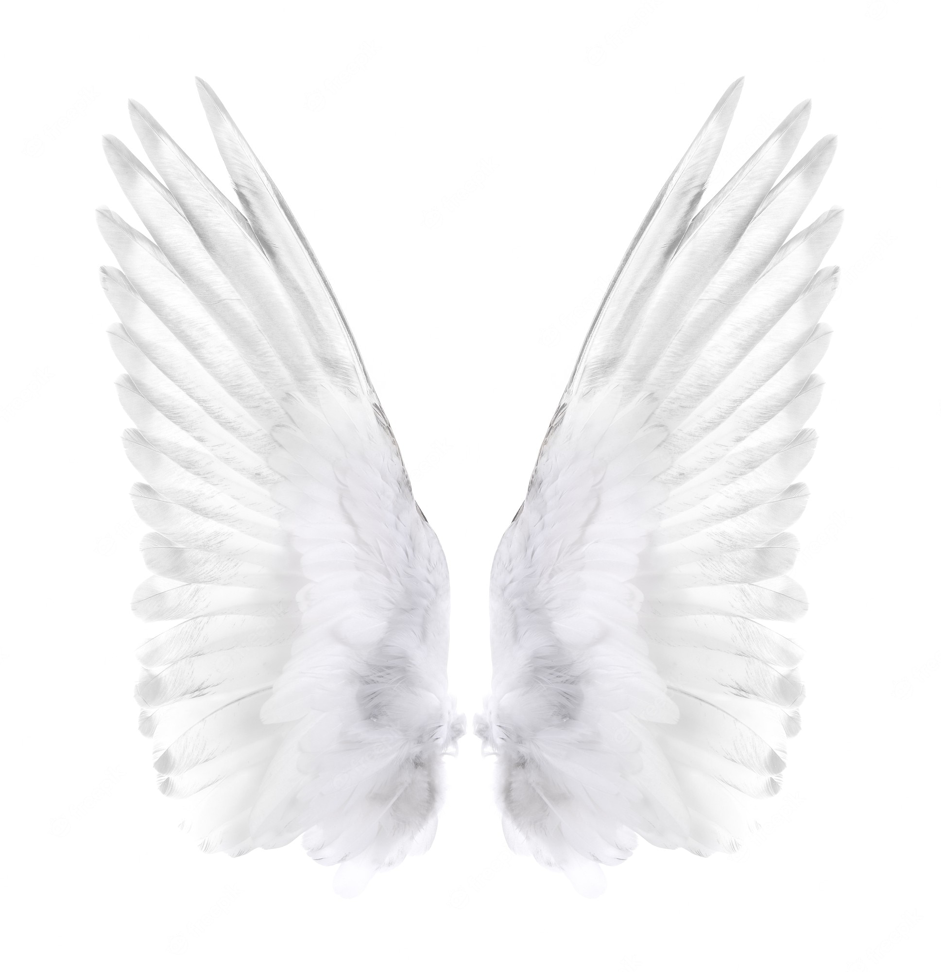 Angel Wings Black Background