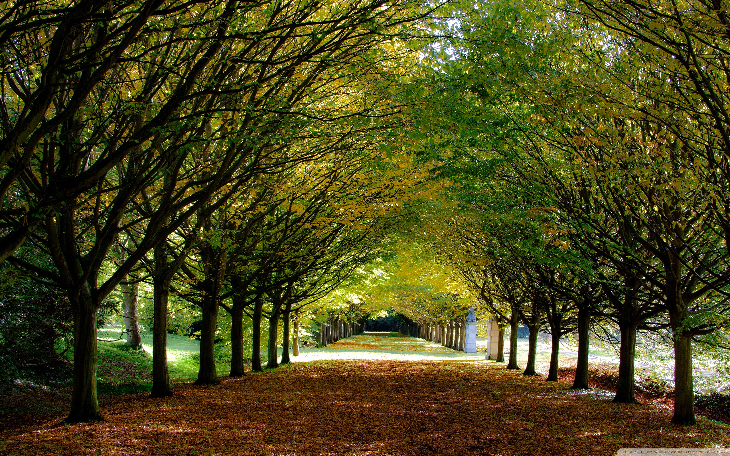 Anglesey Abbey Wallpapers