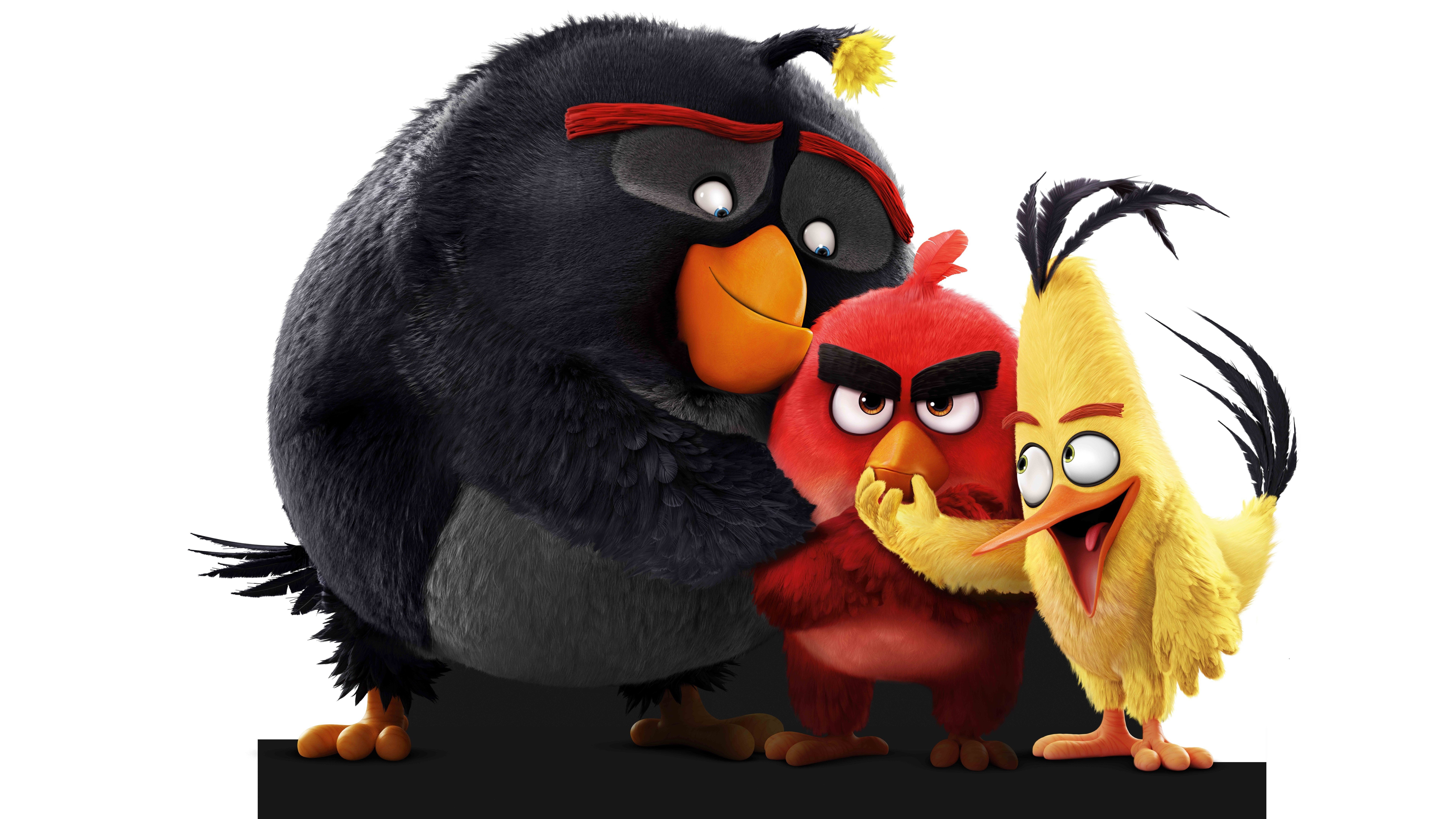 Angry Bird Backgrounds