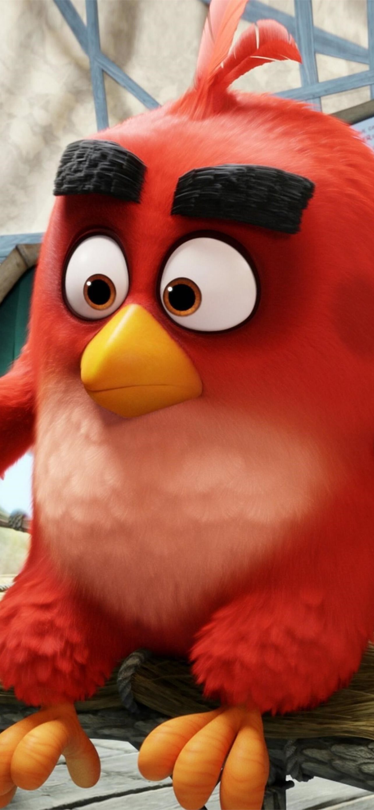 Angry Birds Iphone Wallpapers