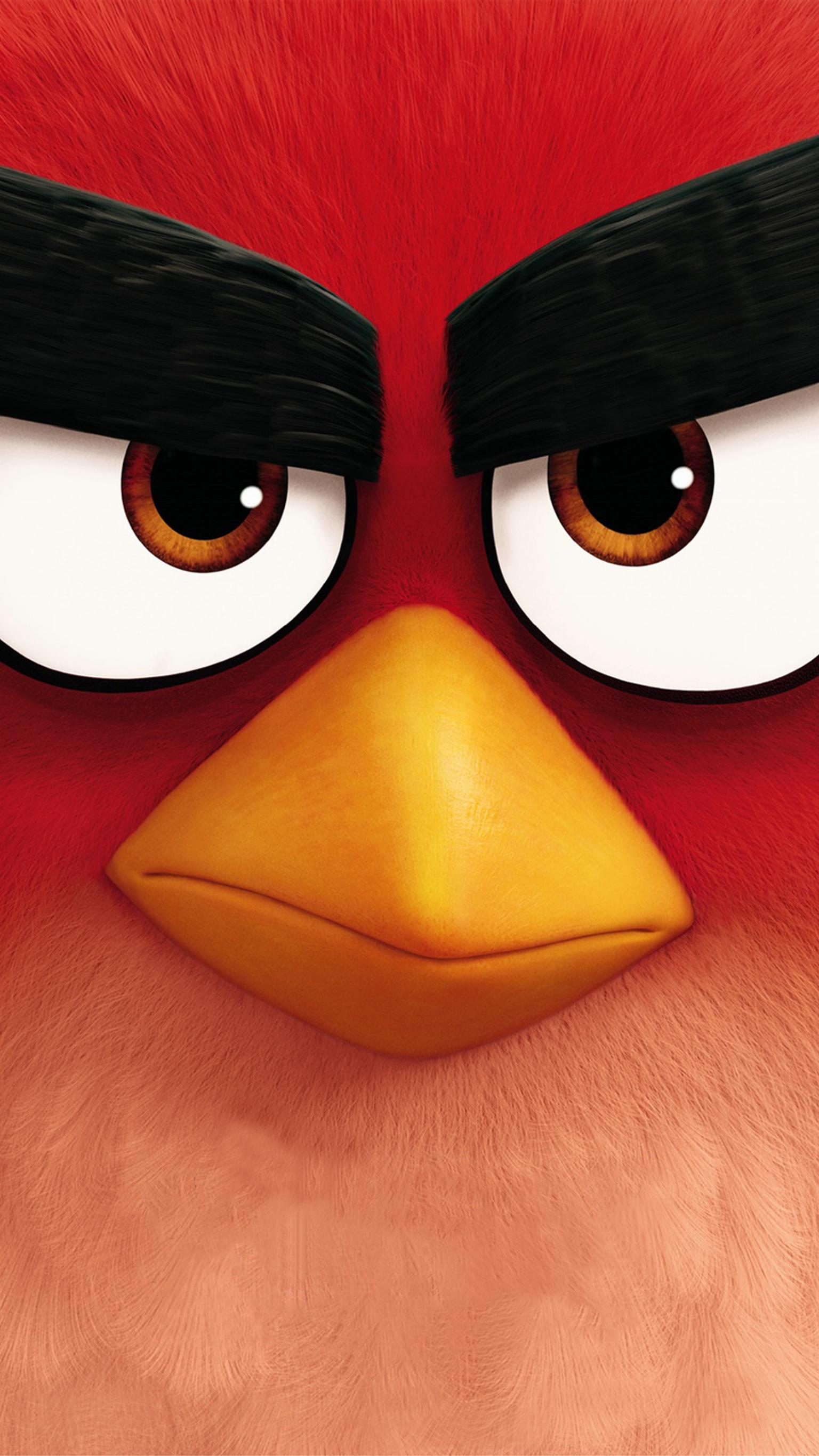 Angry Birds Wallpapers