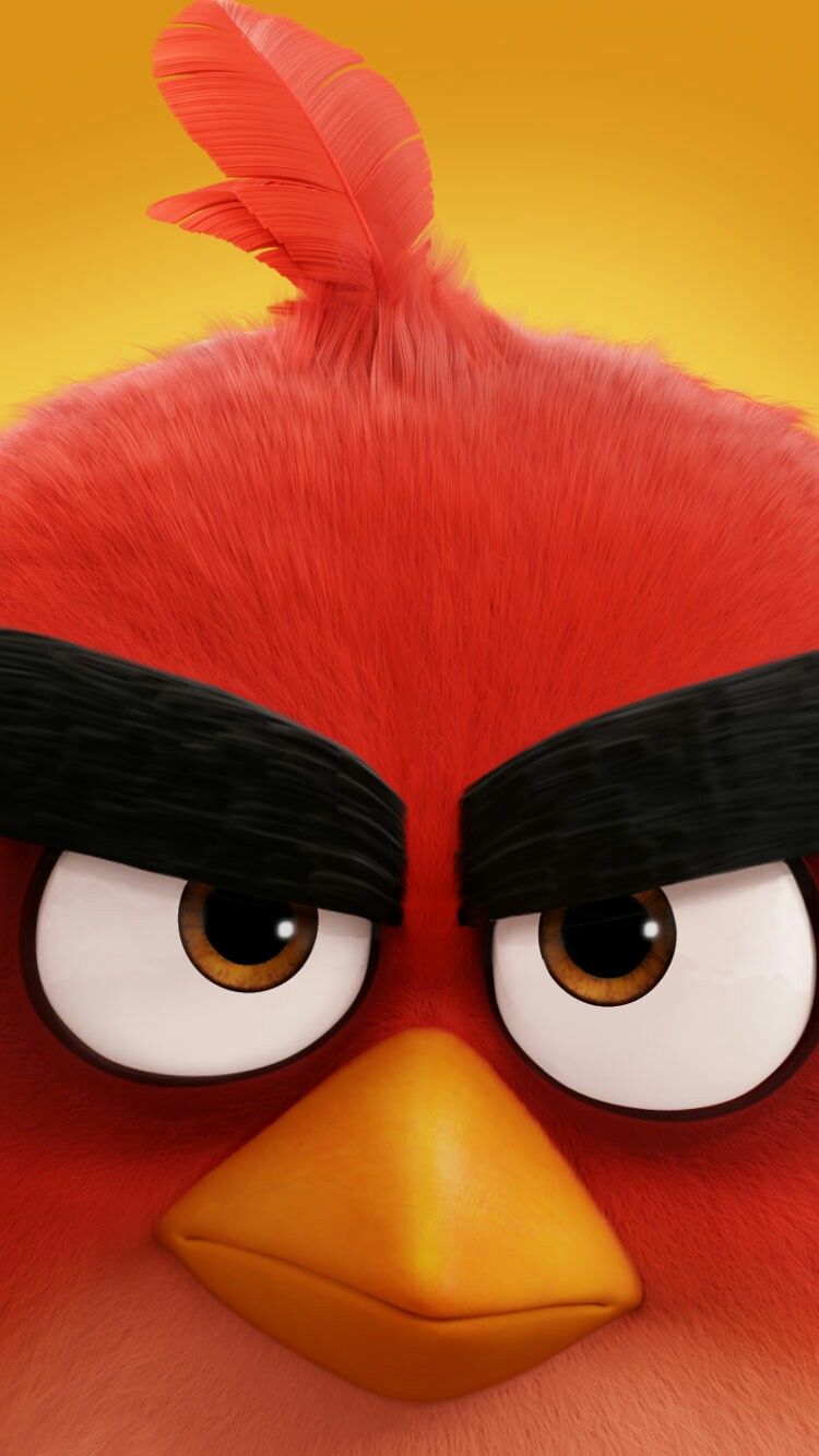 Angry Birds Wallpapers