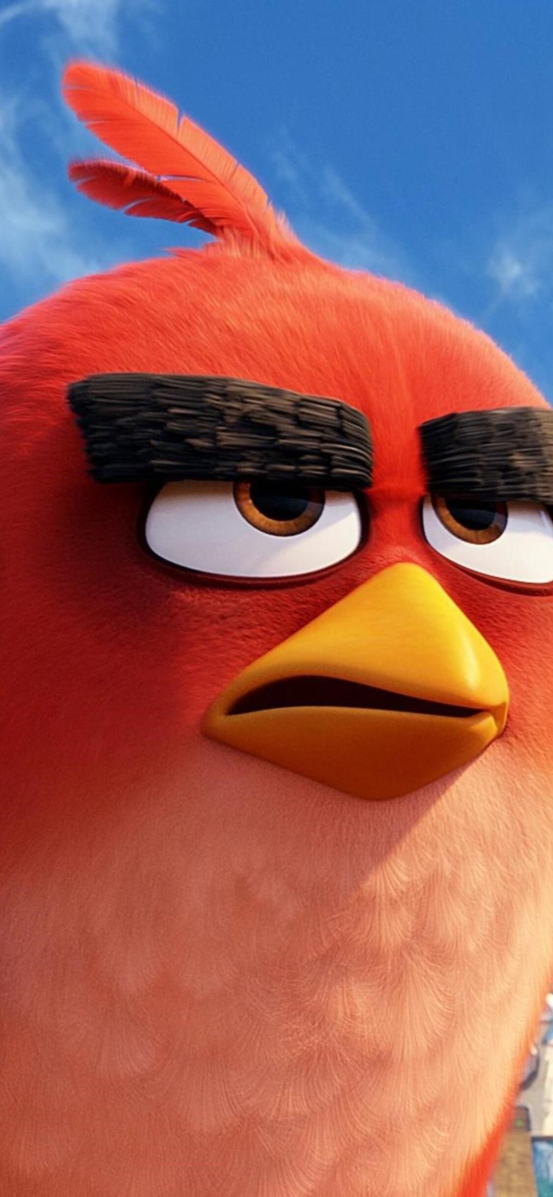 Angry Birds Wallpapers