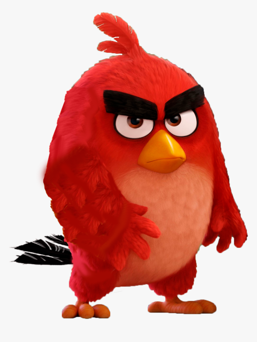 Angry Birds Wallpapers