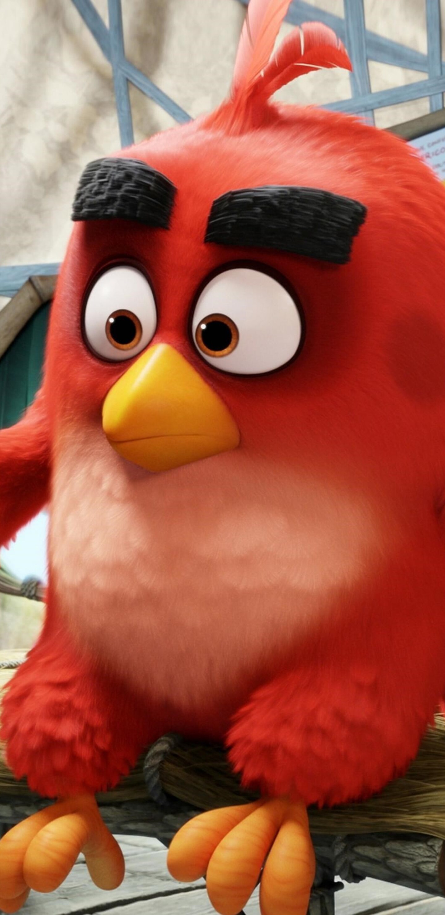 Angry Birds Wallpapers