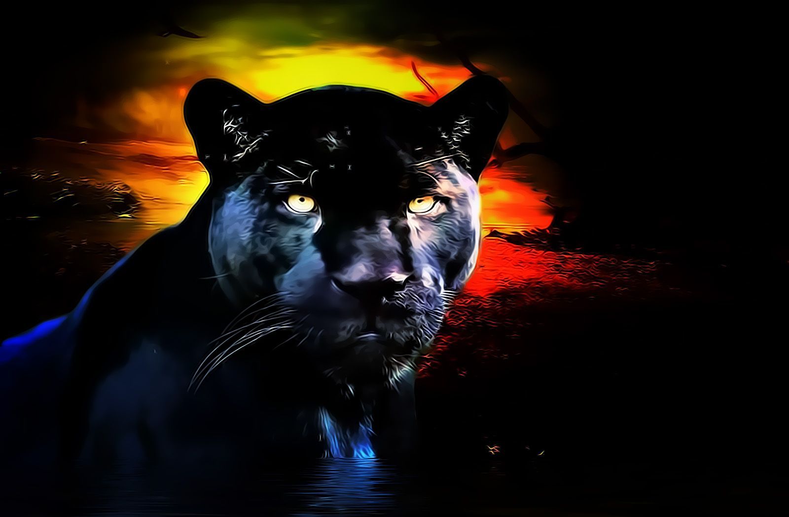 Angry Black Panther Animal Wallpapers