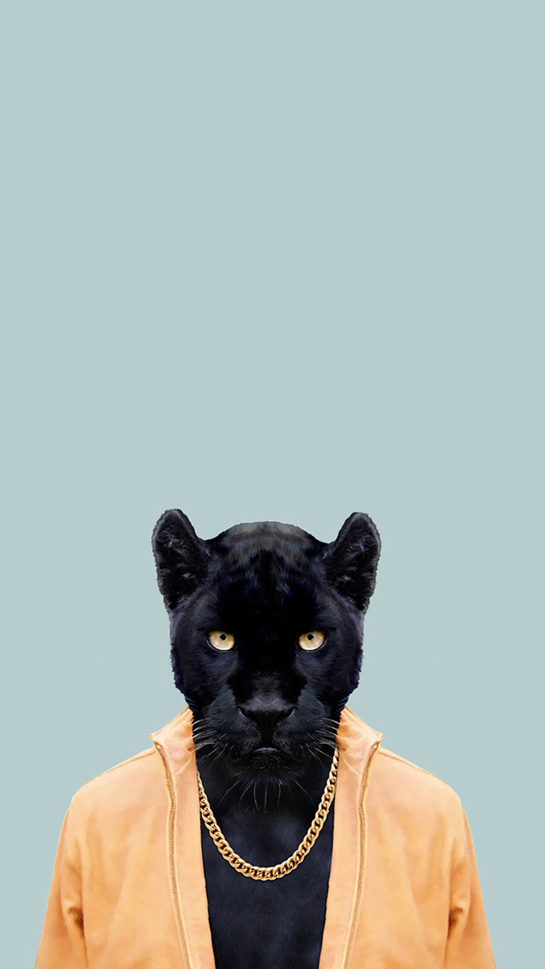 Angry Black Panther Animal Wallpapers