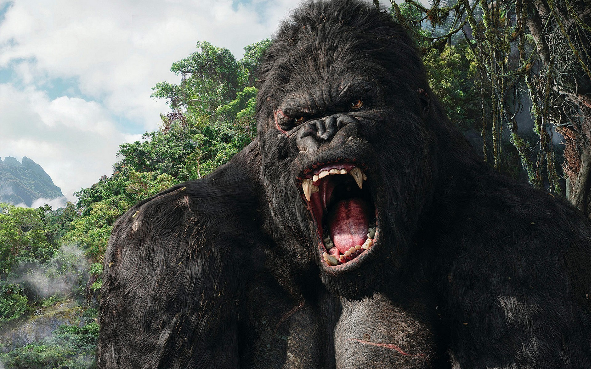 Angry Gorilla Wallpapers