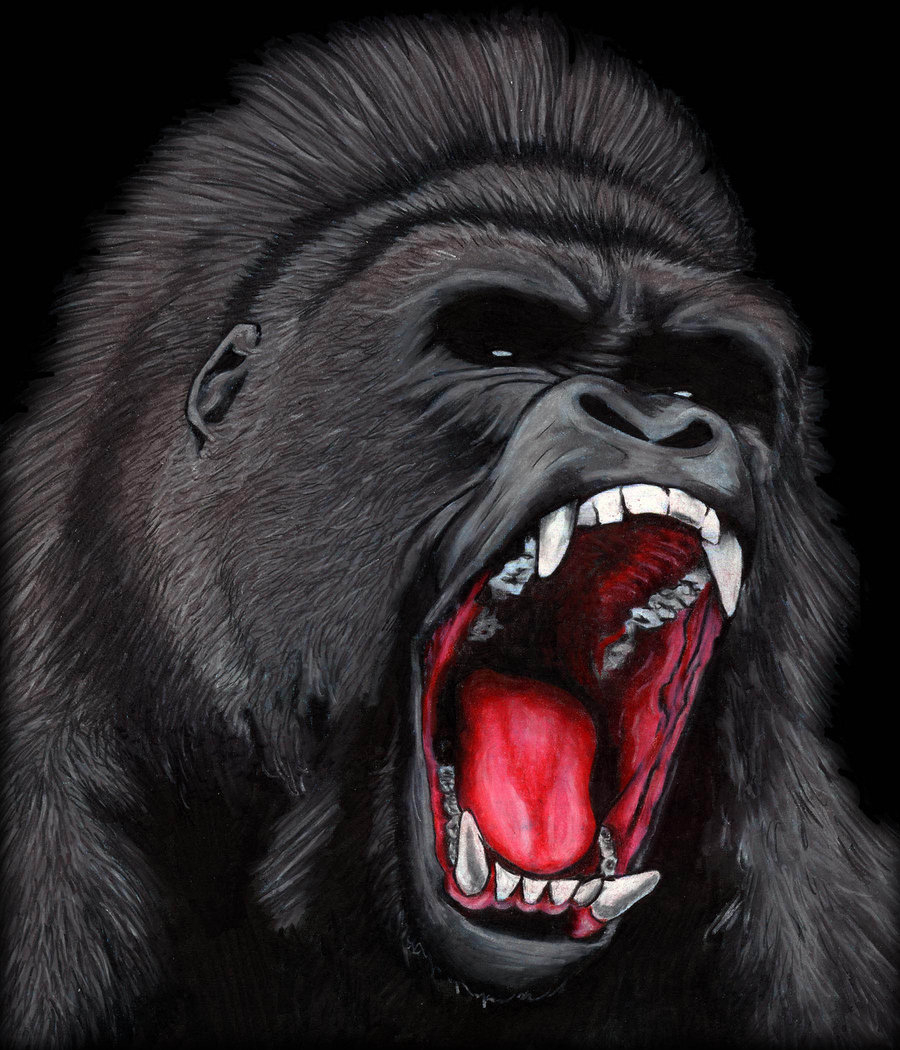 Angry Gorilla Wallpapers