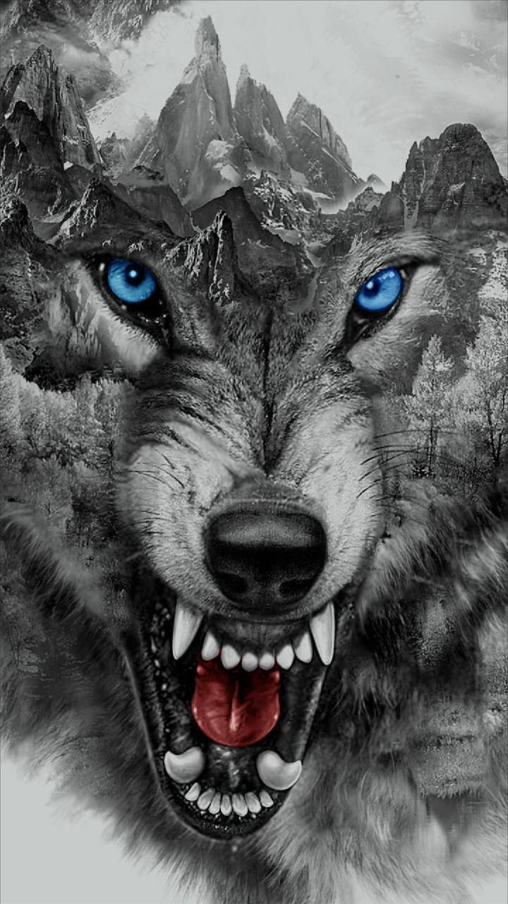 Angry Wolf Wallpapers