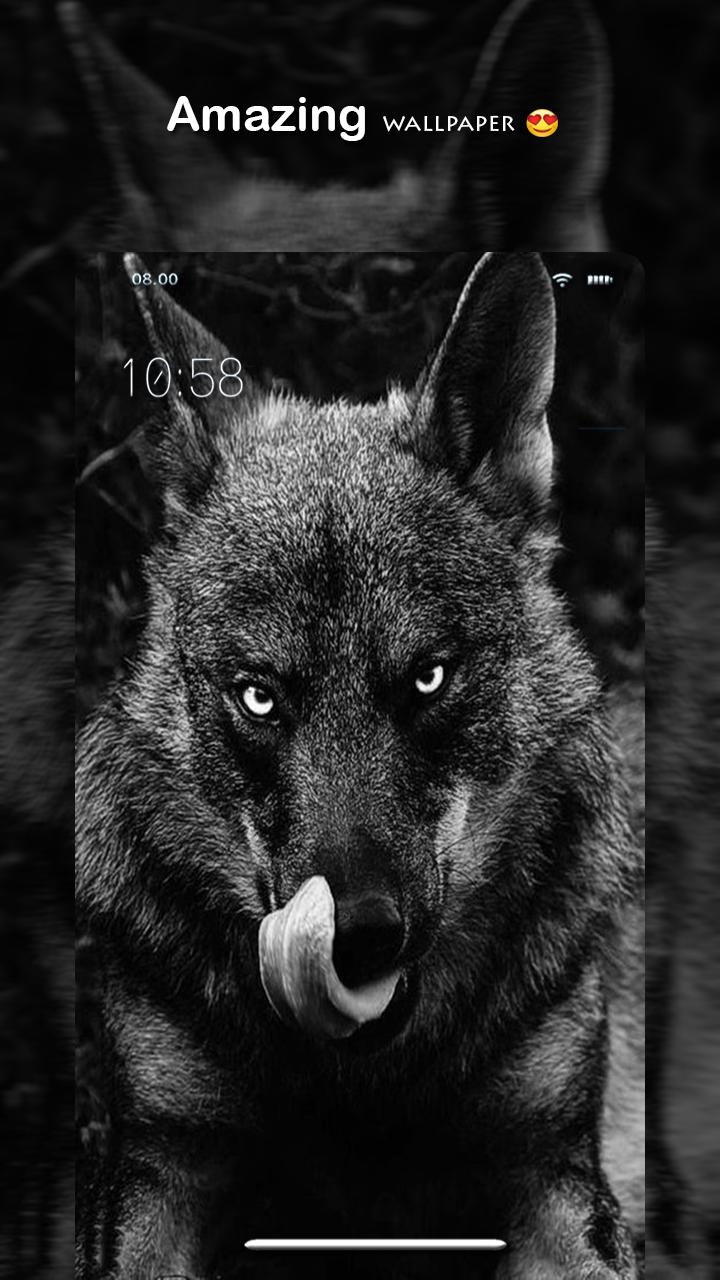 Angry Wolf Wallpapers