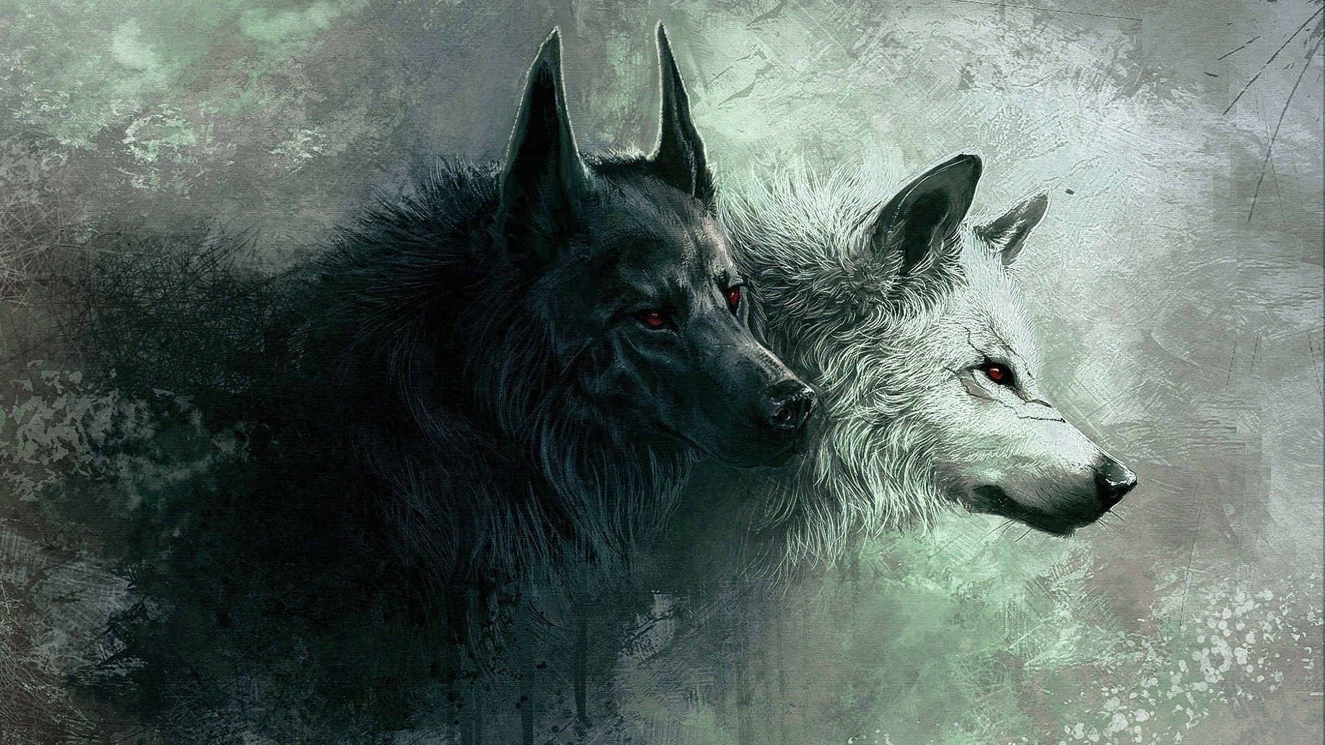 Angry Wolves Wallpapers