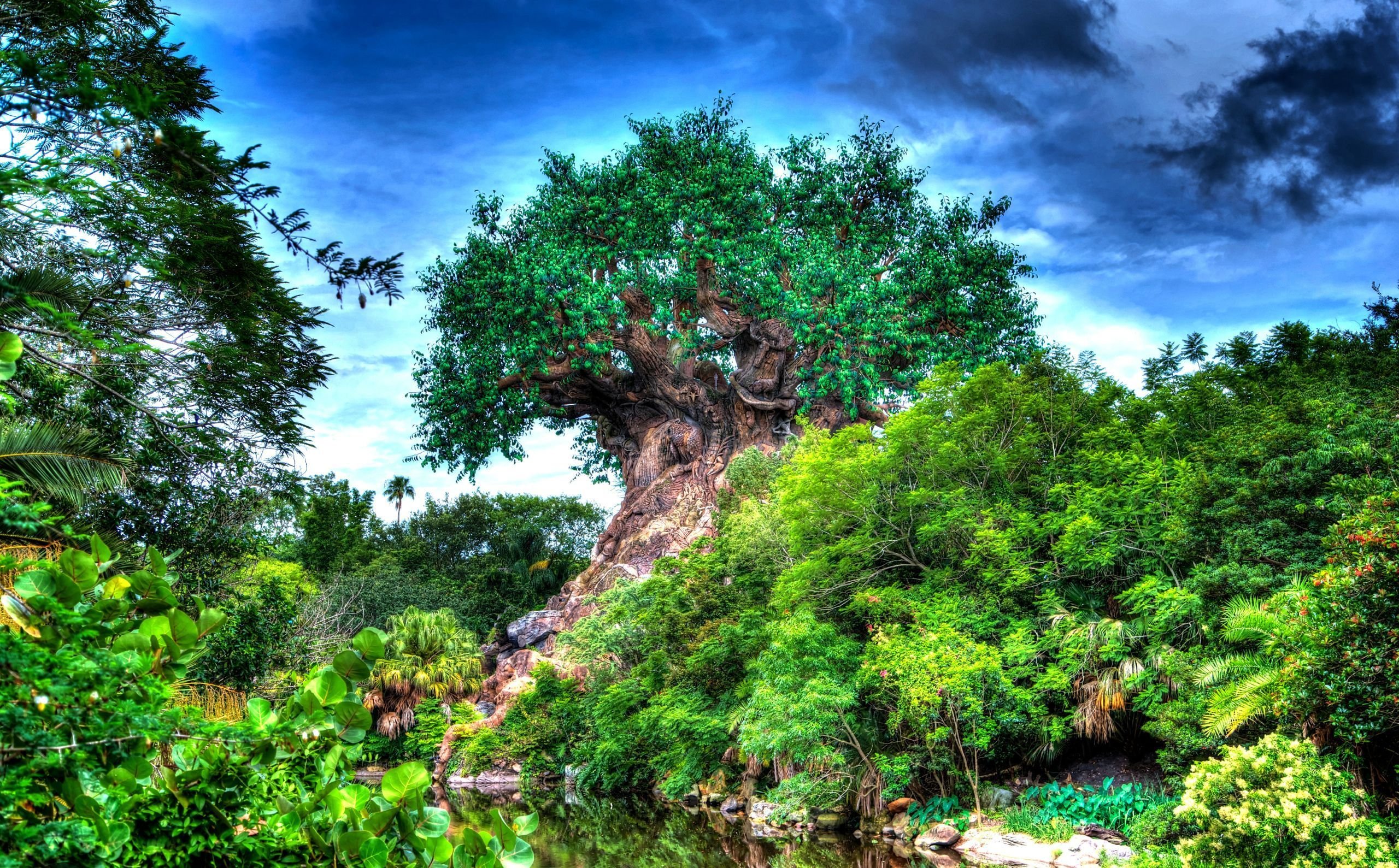 Animal Kingdom Wallpapers