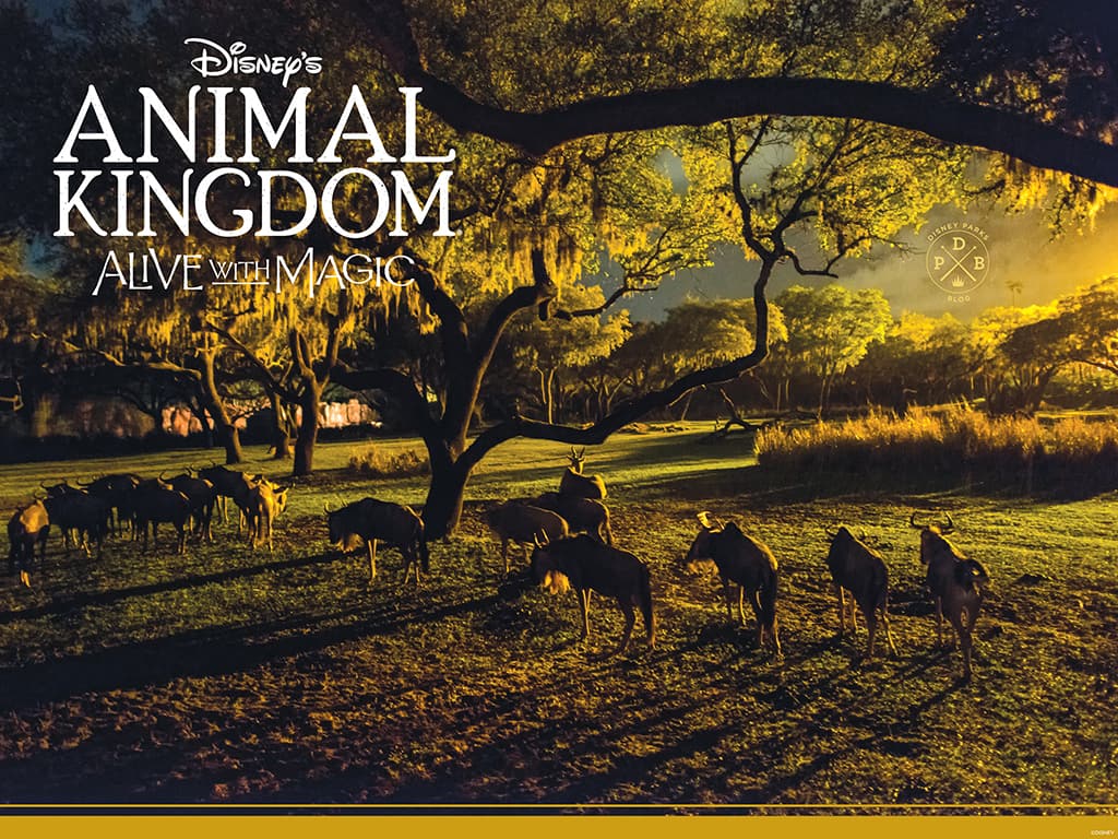 Animal Kingdom Wallpapers