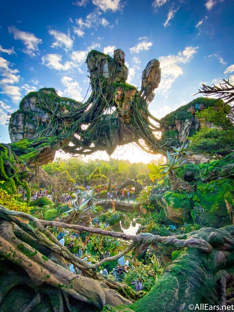 Animal Kingdom Wallpapers