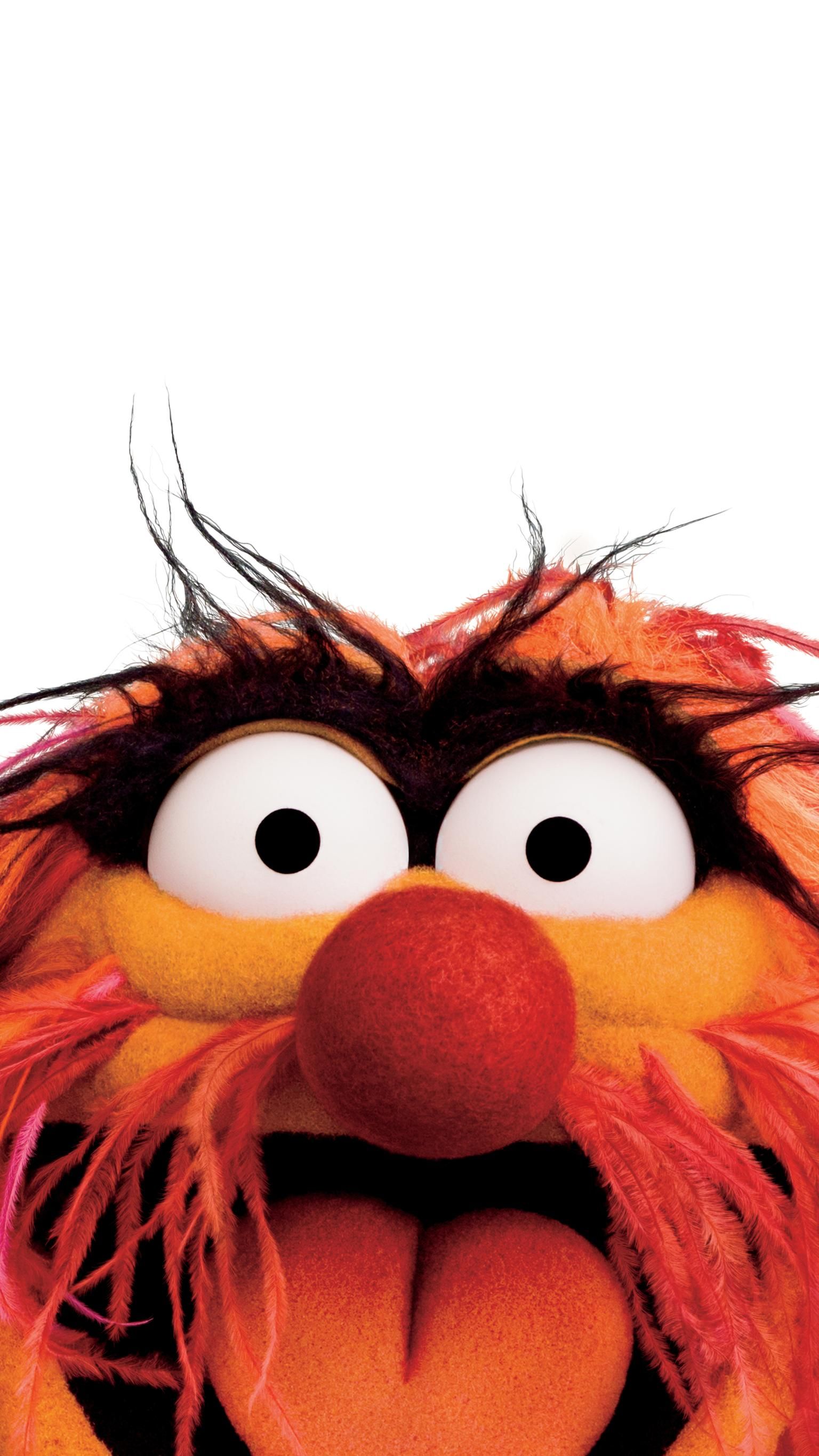 Animal Muppets Wallpapers