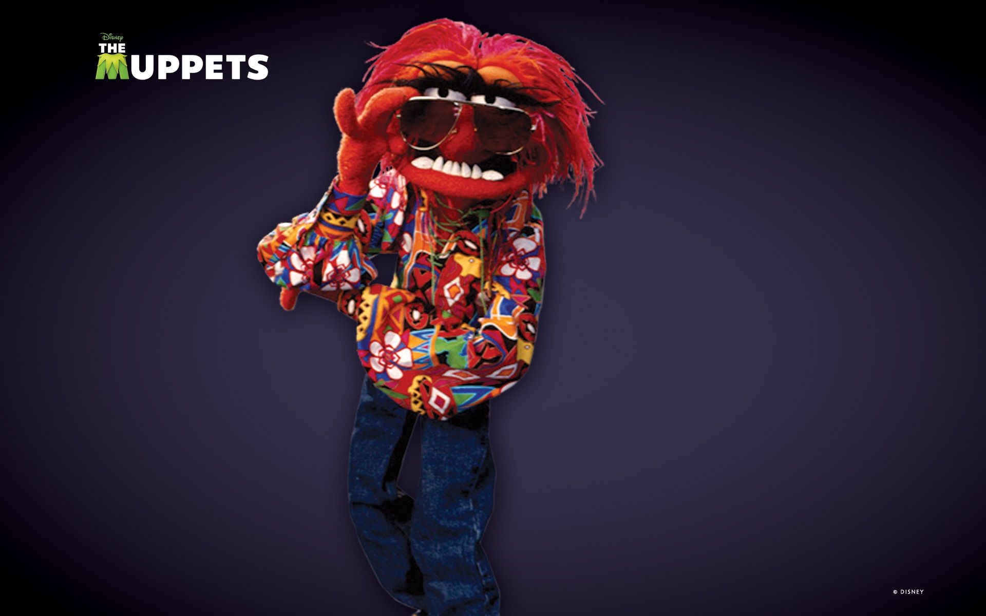 Animal Muppets Wallpapers