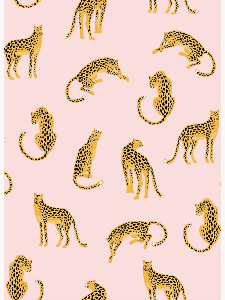 Animal Prints Backgrounds