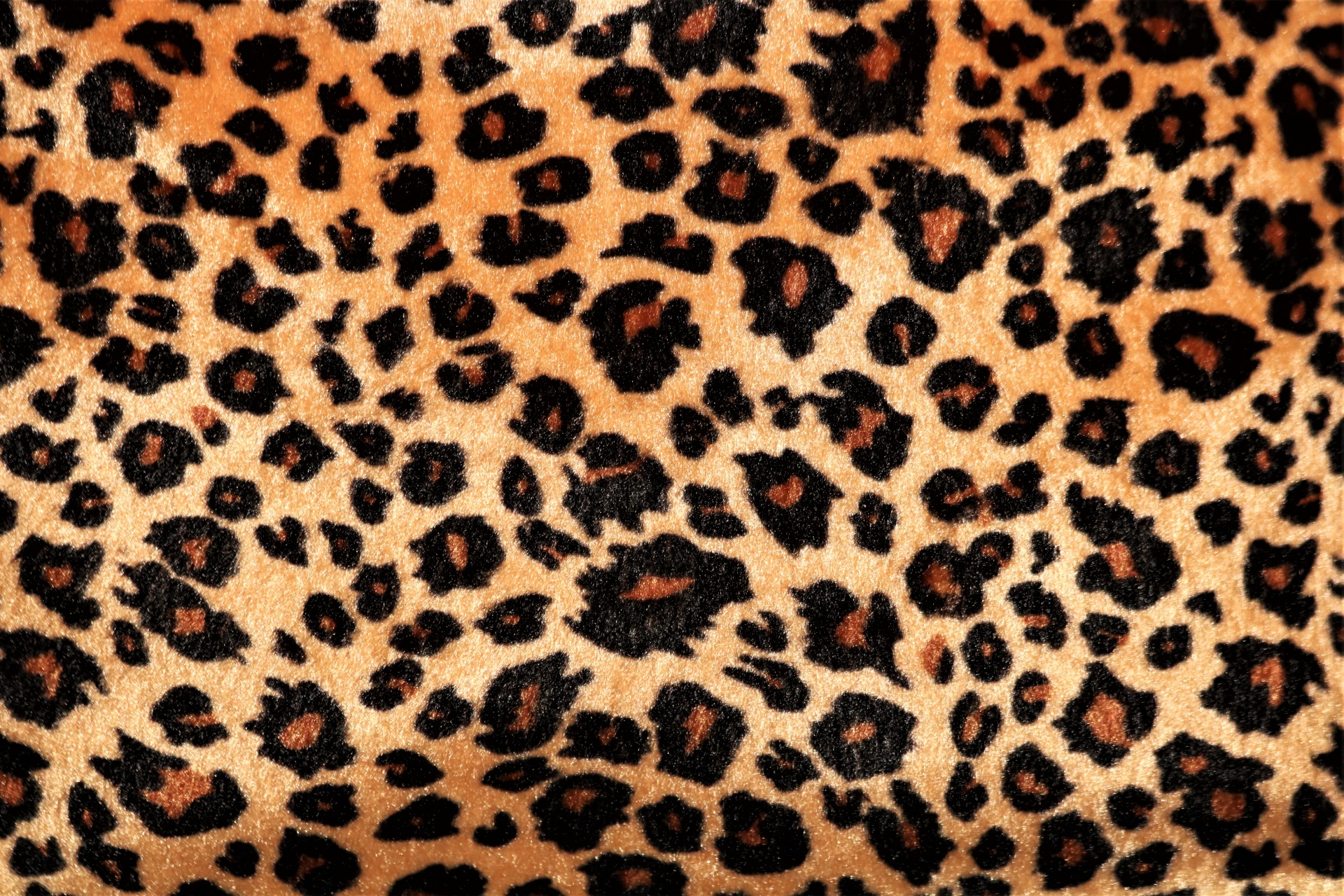 Animal Prints Backgrounds