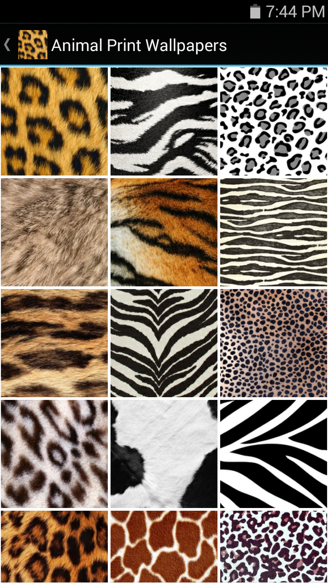 Animal Skin Wallpapers