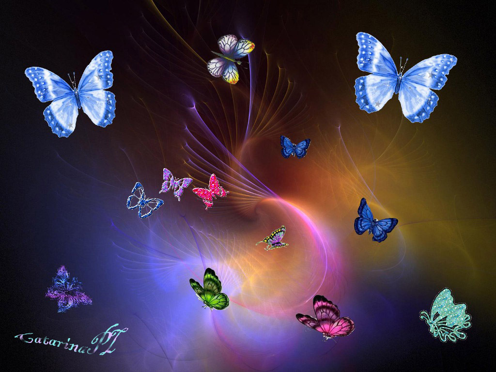 Animated Butterfly Wallpapers