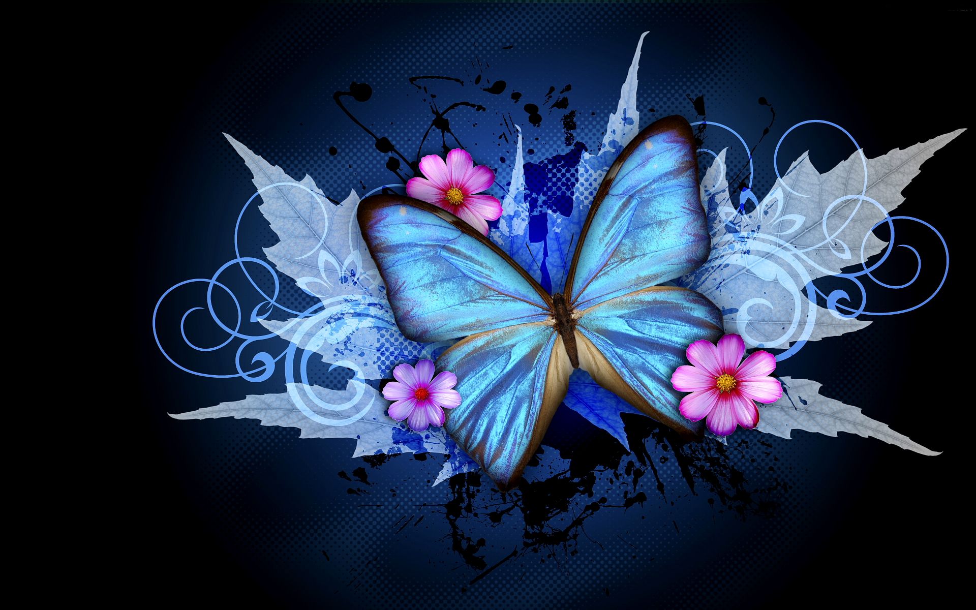 Animated Butterfly Wallpapers