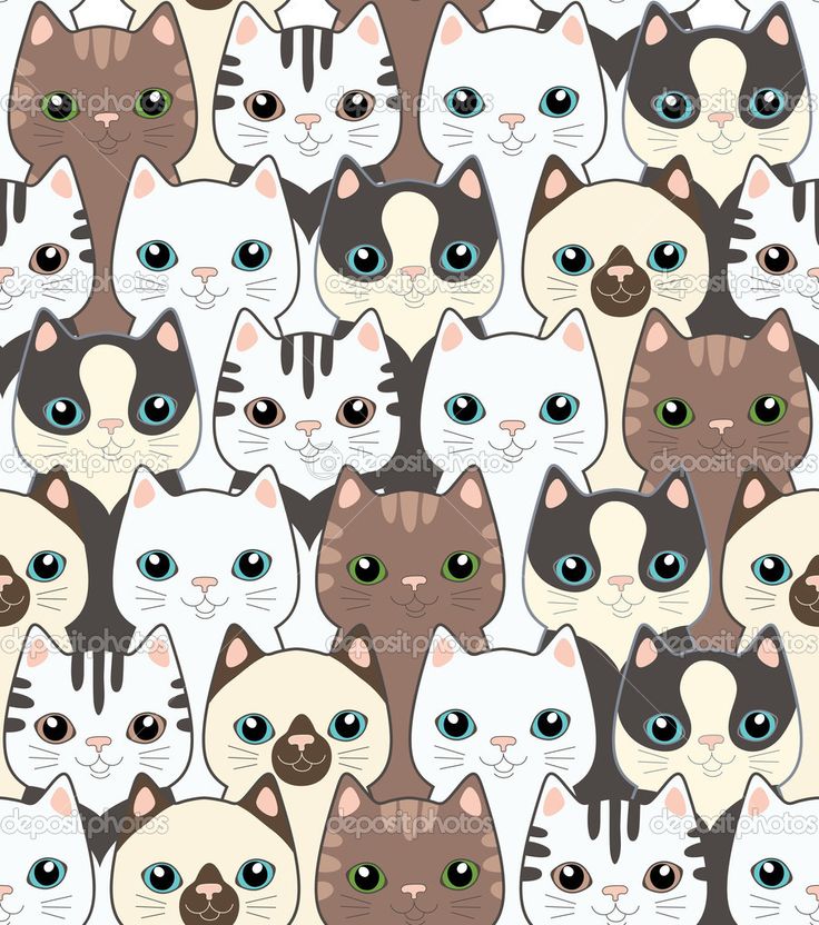 Animated Cats Wallpapers