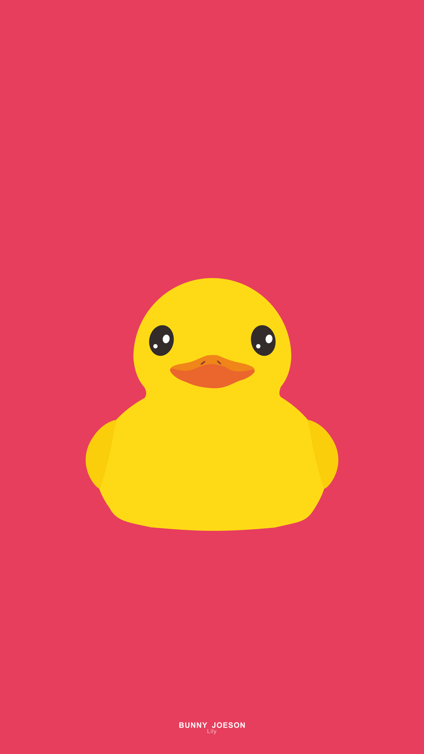 Animated Duck Wallpapers