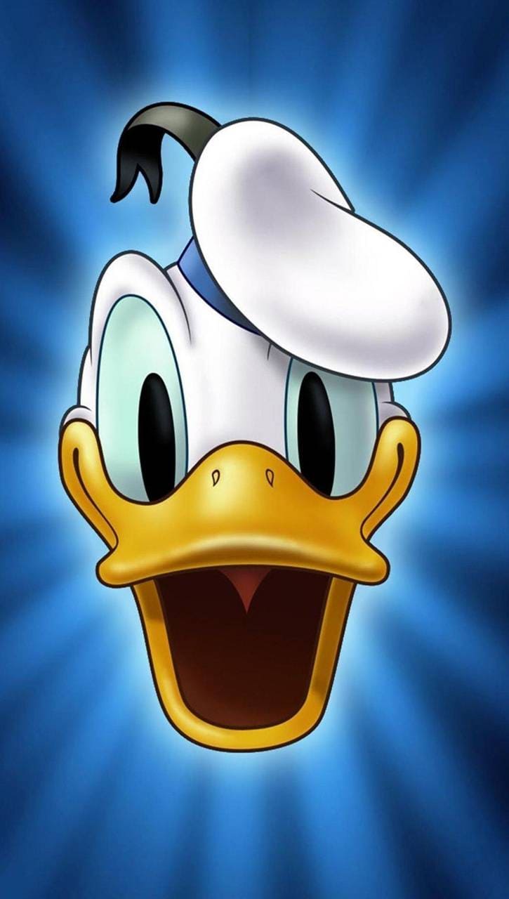 Animated Duck Wallpapers