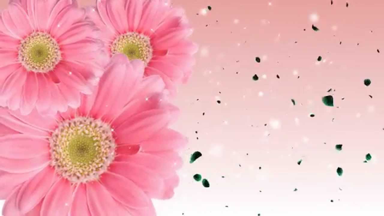 Animated Flower Background