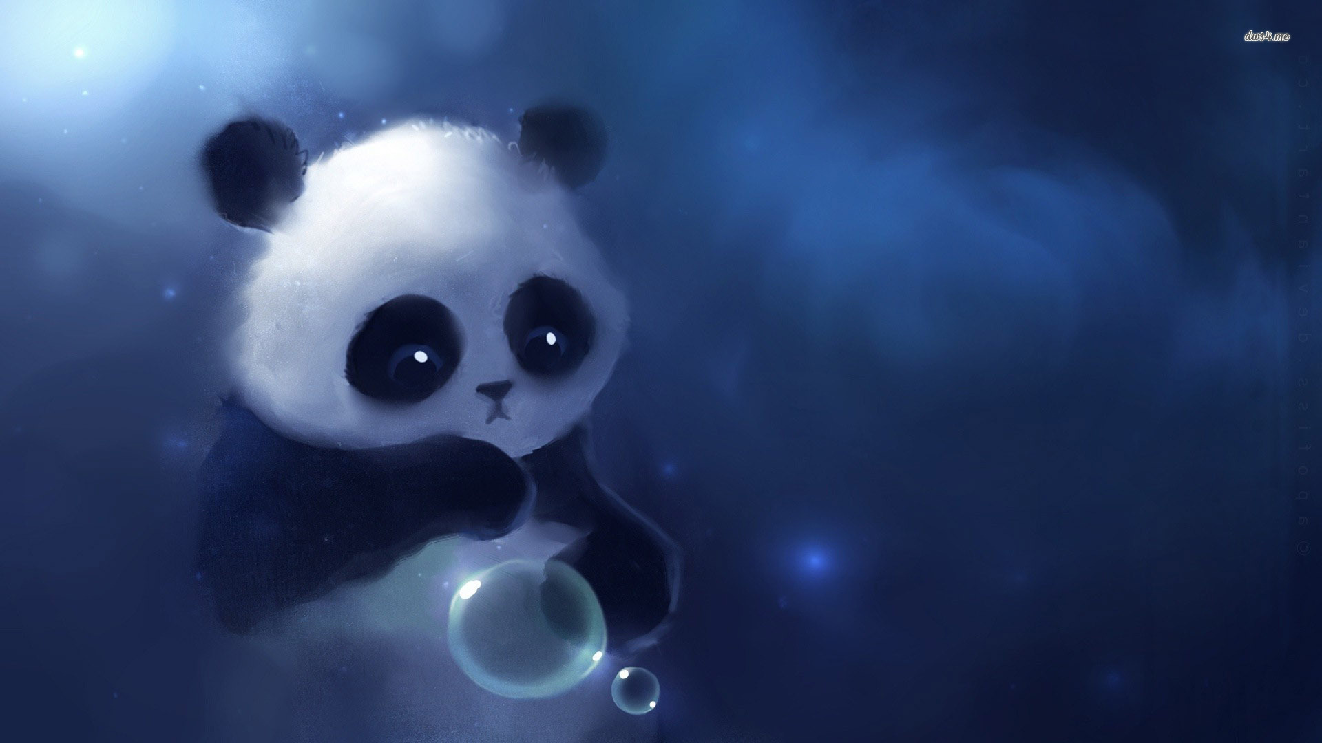 Animated Koala Wallpapers