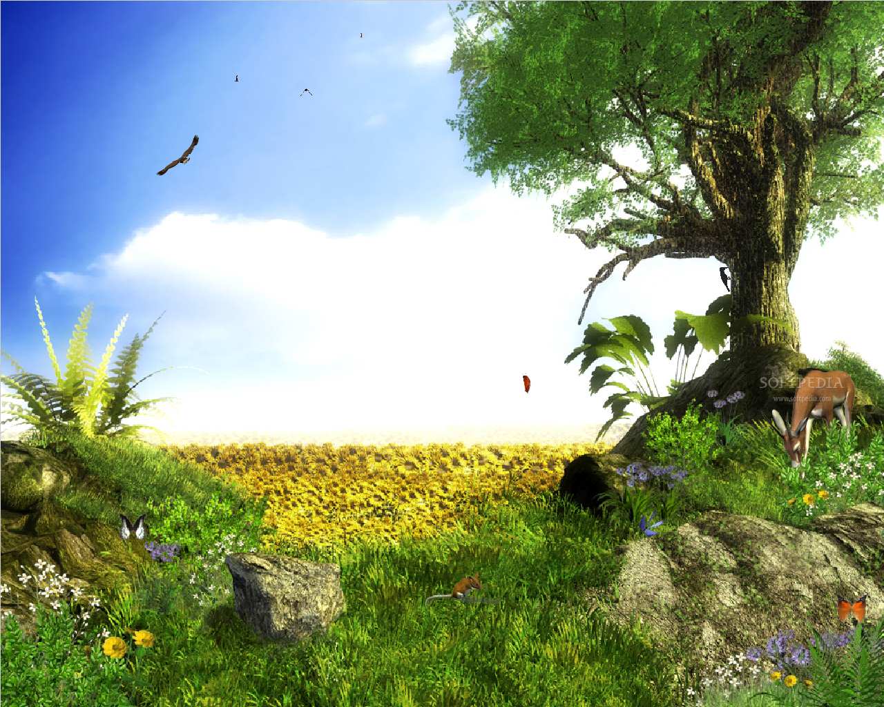 Animated Nature Background