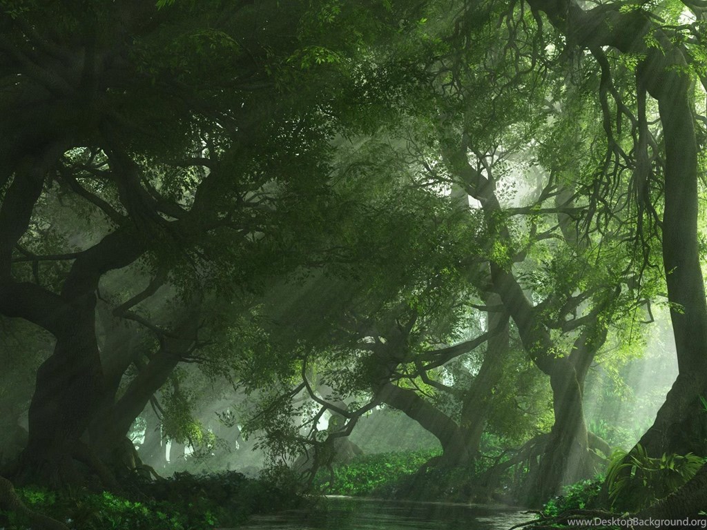 Animated Nature Background