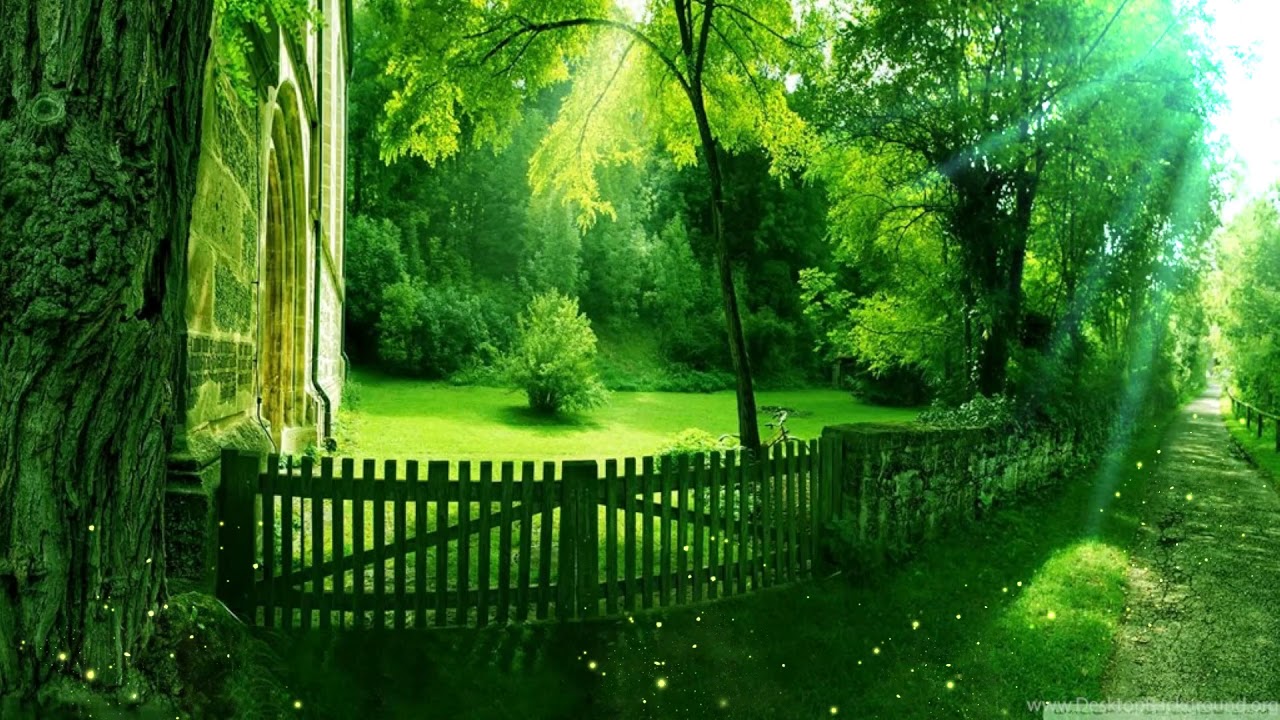 Animated Nature Background