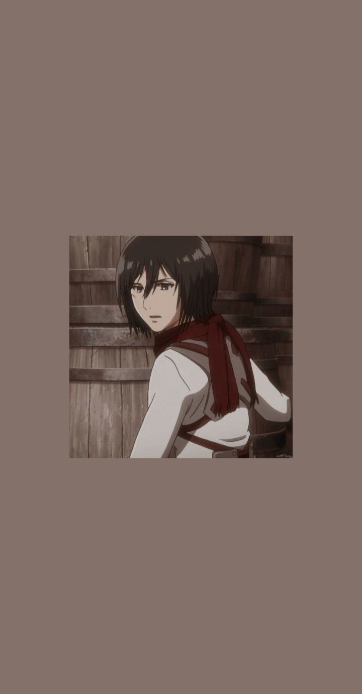 Anime Aesthetic Mikasa Wallpapers