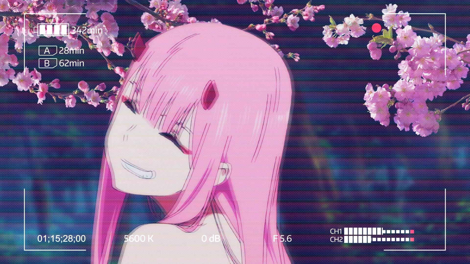 Anime Aesthetics Zero Two Wallpapers