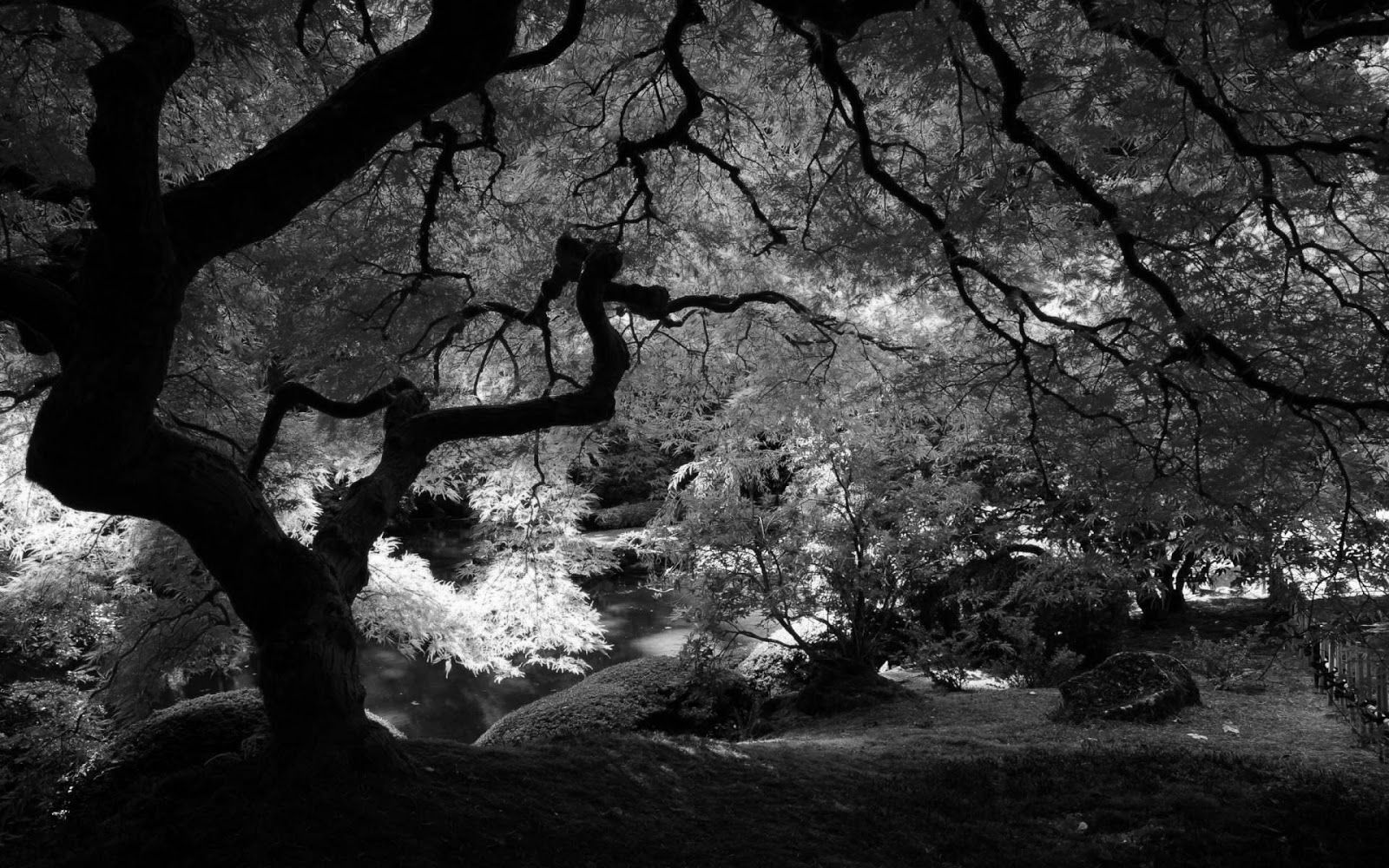 Anime Black And White Scenery Hd Wallpapers